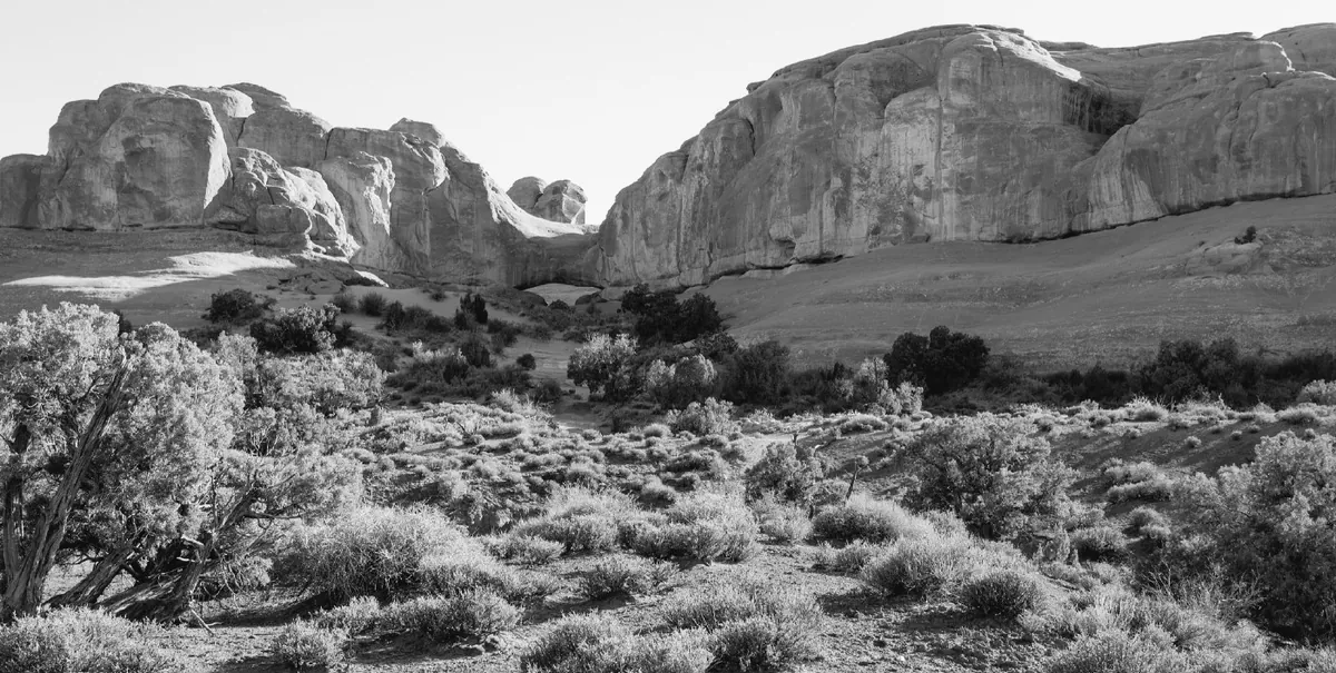 Classic pan (Tri-X, HP5): after